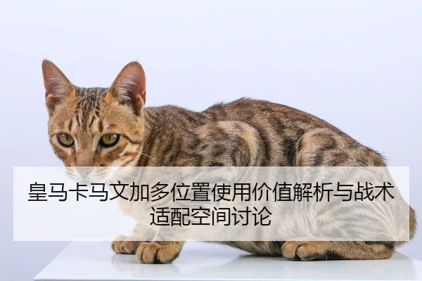 皇马卡马文加多位置使用价值解析与战术适配空间讨论 - c7c7
