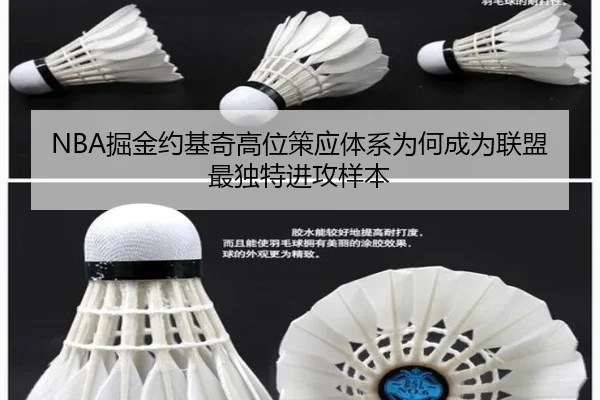 NBA掘金约基奇高位策应体系为何成为联盟最独特进攻样本 - cc7c7.app