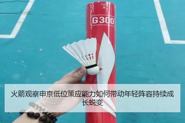 火箭观察申京低位策应能力如何带动年轻阵容持续成长蜕变（cc7c7.app）