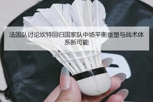 法国队讨论坎特回归国家队中场平衡重塑与战术体系新可能（cc7c7.app）